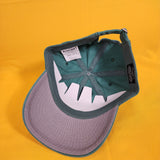 Studio Ghibli My Neighbor Totoro with Soot Sprites Dad Hat Baseball Cap Green