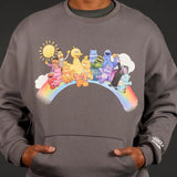 Cakeworthy Care Bears X Sesame Street Crewneck Sweatshirt Pull Over Grey M