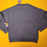 Cakeworthy Care Bears X Sesame Street Crewneck Sweatshirt Pull Over Grey M