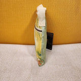 Princess and the Frog Tiana Fairy Passport Bag Crossbody Bag